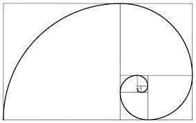 Espiral Fibonacci
